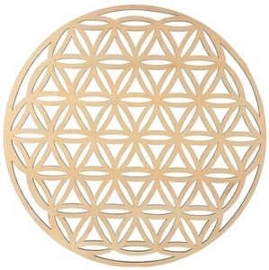 Flower of Life Sacred Geometry Mandala Wood Wall Art Crystal Display Grid New
